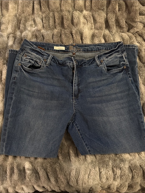 Kut from the Kloth Denim - Kut from the Kloth Women's Katy Ankle Straight Leg Jeans